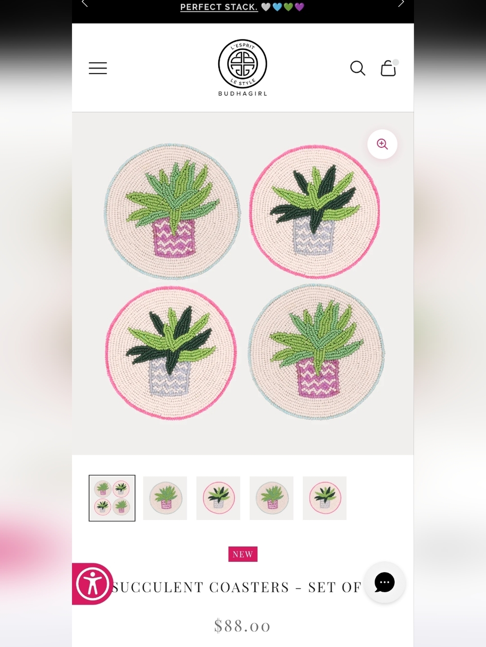 Budhagirl Succulent Coasters - Set of 4 Nwt